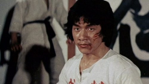 New Fist Of Fury - Tân Tinh Võ Môn - Hình 4