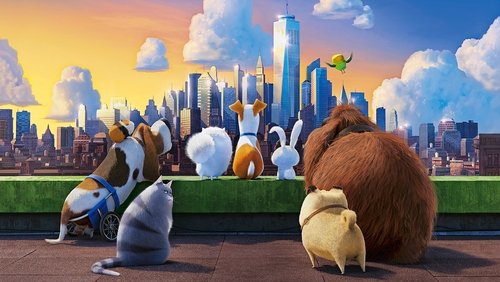 The Secret Life of Pets - Đẳng Cấp Thú Cưng - Hình 3