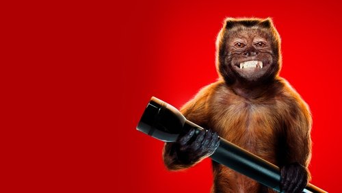 Night at the Museum: Secret of the Tomb - Đêm Ở Bảo Tàng: Bí Mật Hầm Mộ - Hình 2