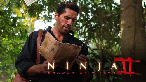 Ninja: Shadow of a Tear - Ninja 2: Ninja Báo Thù - Hình 3
