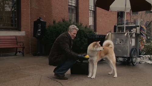 Hachi: A Dog's Tale - Hachiko Chú Chó Trung Thành - Hình 1