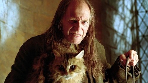 Harry Potter And The Goblet Of Fire - Harry Potter Và Chiếc Cốc Lửa - Hình 3