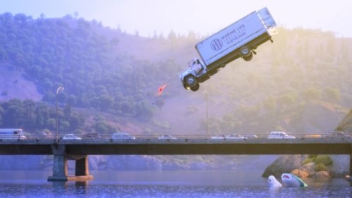 Finding Dory - Đi Tìm Dory - Hình 1