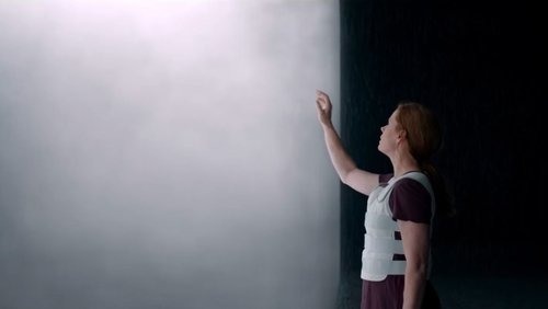 Arrival - Cuộc Đổ Bộ Bí Ẩn - Hình 2