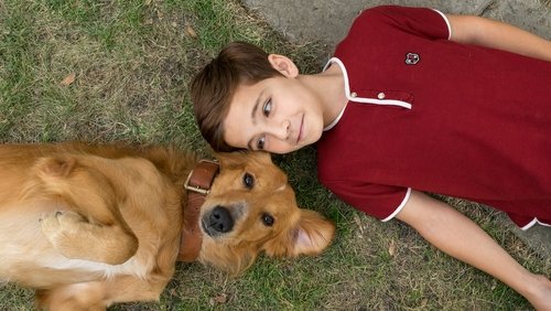 A Dog's Purpose - Mục Đích Sống Của Một Chú Chó - Hình 3