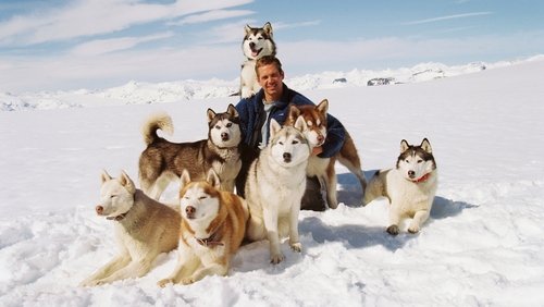 Eight Below - Âm Tám Độ - Hình 3