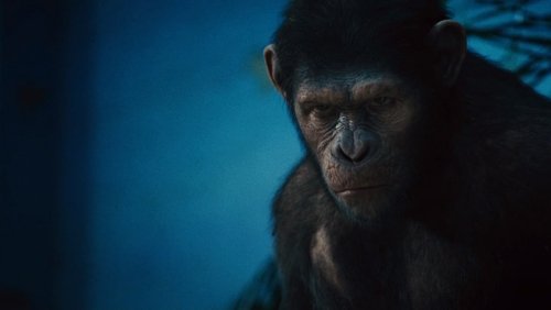 Rise of the Planet of the Apes - Sự Trỗi Dậy Của Hành Tinh Khỉ - Hình 1
