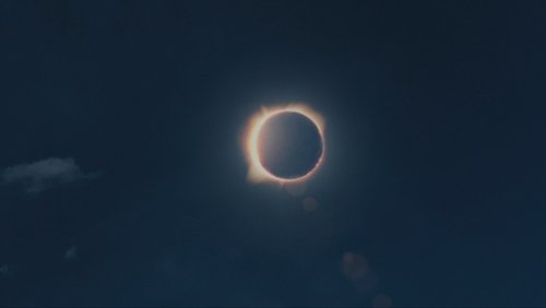 Apocalypto - Đế Chế Maya - Hình 3