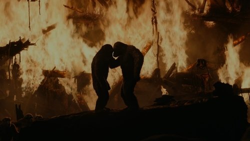 Dawn of the Planet of the Apes - Sự Khởi Đầu Của Hành Tinh Khỉ - Hình 4