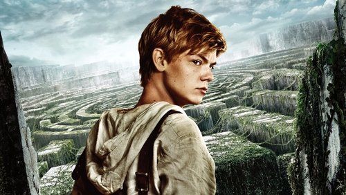 The Maze Runner - Giải Mã Mê Cung - Hình 1