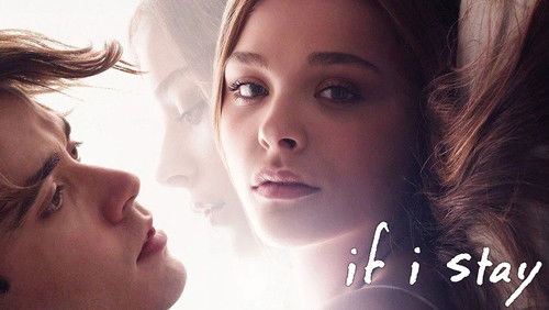 If I Stay - Nếu Em Ở Lại - Hình 5