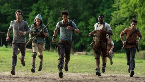 The Maze Runner - Giải Mã Mê Cung - Hình 4
