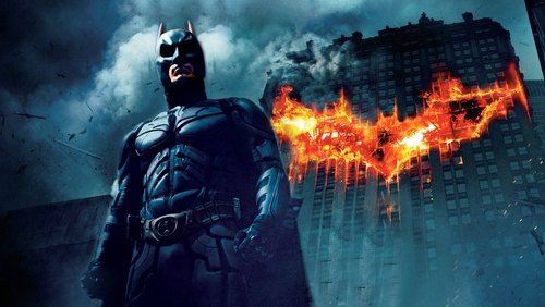 Batman: The Dark Knight - Người Dơi: Kỵ Sĩ Bóng Đêm - Hình 2