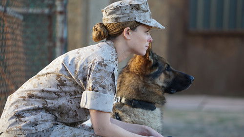 Megan Leavey - Hạ Sĩ Megan - Hình 2