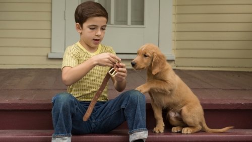 A Dog's Purpose - Mục Đích Sống Của Một Chú Chó - Hình 2