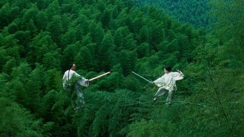 Crouching Tiger, Hidden Dragon - Ngọa Hổ Tàng Long - Hình 3