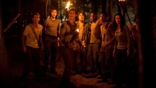 The Maze Runner - Giải Mã Mê Cung - Hình 5