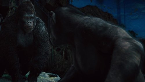 Rise of the Planet of the Apes - Sự Trỗi Dậy Của Hành Tinh Khỉ - Hình 3