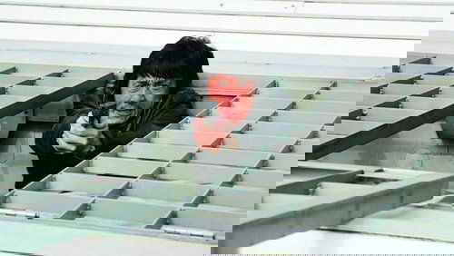 New Police Story - Tân Câu Chuyện Cảnh Sát - Hình 4