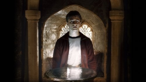 Harry Potter And The Order Of The Phoenix - Harry Potter Và Hội Phượng Hoàng - Hình 3