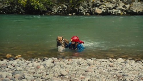 Max 2: White House Hero - Chú Chó Max 2: Cứu Tinh Nhà Trắng - Hình 2